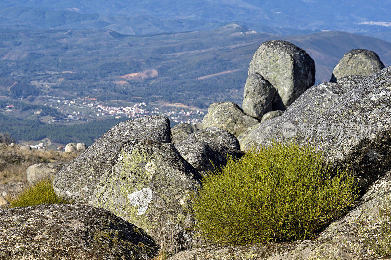 从葡萄牙山脉的自然公园Serra da Gardunha, Castelo Branco